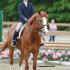 WTHJA Memphis in May